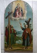 Girolamo dai Libri Madonna of the Oak, Sacred conversation with the Virgin and Child Jesus, St. Andrew oil painting